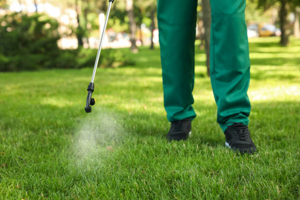 Best Best Pest Control Companies  in Orono, MN