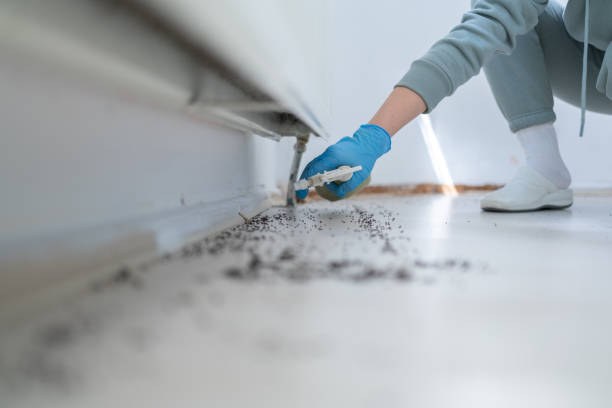 Best Pest Control Treatment  in Orono, MN